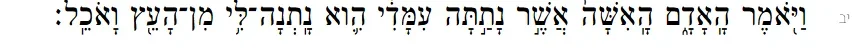 1779819930278.webp