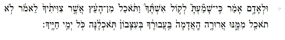 1779819959313.webp