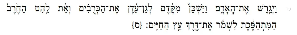 1779821131824.webp