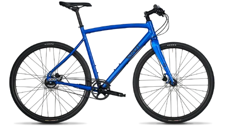 acme-blue-trans_1600x.webp