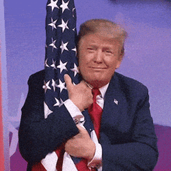 giphy-downsized.gif