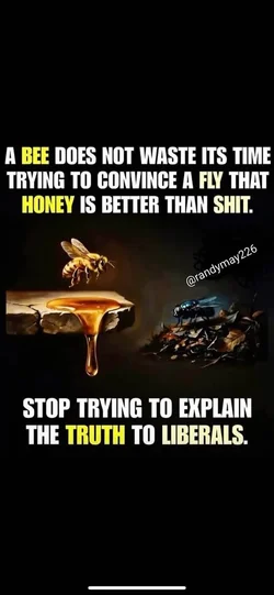 1781925248974.webp