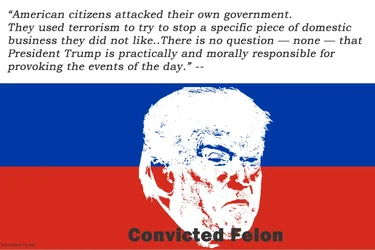 convicted felon red white blue.webp