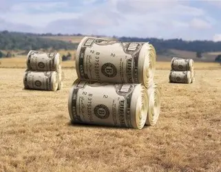 $farmmoney1.webp