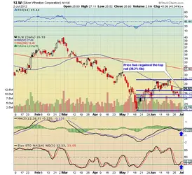 $slw2.webp $slw2.webp