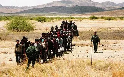 $barnett_bp_illegals_line.webp