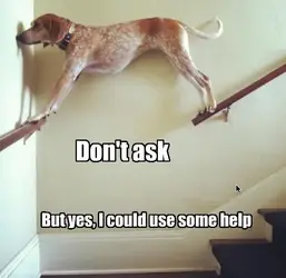 $dontask.webp