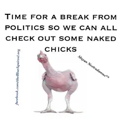 $nakedchicks.webp