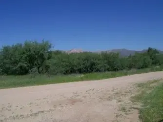 $green in front.webp