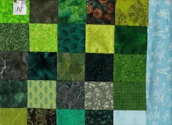 $tall pine1, becki 8.15.2012.webp