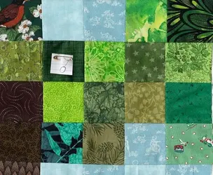 $tall pine3 section O on graph, becki 8.16.2012.webp