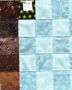 $tall pine4 section S on graph, becki 8.16.2012.webp