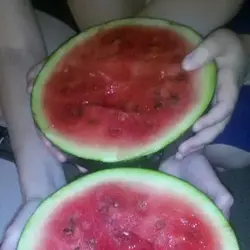 $watermelon.webp