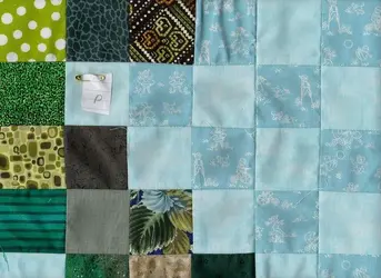 $pine tree11 section P, becki 8.20.2012.webp