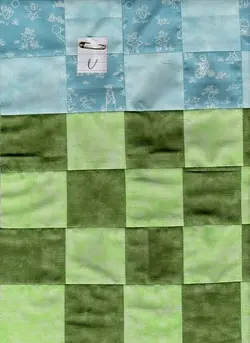 $pine tree13 sections U, V, and X, becki 8.20.2012.webp