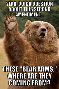$bear arms.webp
