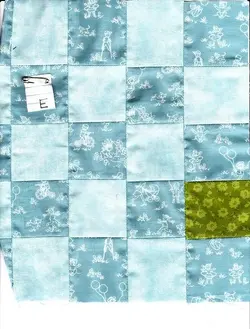 $pine tree18 section E, becki 8.21.2012.webp