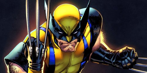 Wolverine8.jpg