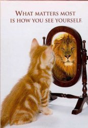 $funny-cat-picture-cute-kitty-pic-kitten-looking-in-mirror-seeing-a-lion.jpg