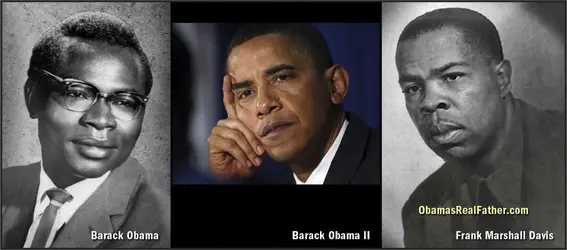 $compare photos2.webp