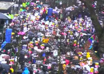 posted Feb 2017.webp