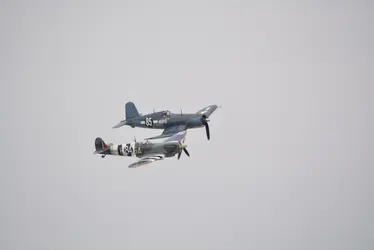 DSC_0091.webp