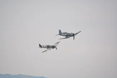 DSC_0086.webp