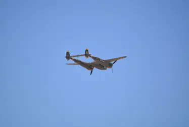 DSC_0255.webp