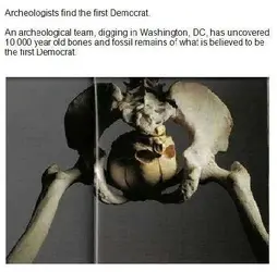 firstdemocrat.webp firstdemocrat.webp