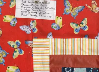 $Rust-sashed Turquoise Roman Stripe O Butterf Border 7.webp