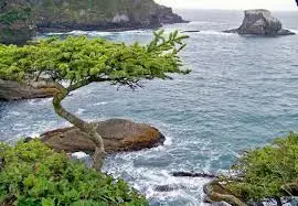 $neah bay 2.webp $neah bay 2.webp