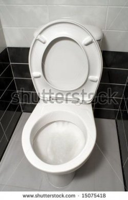 $toilet bowl.jpg