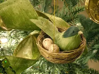 green-bird.webp