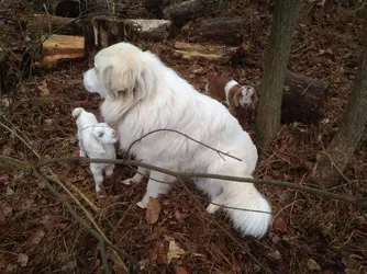 Just another day at the office.webp