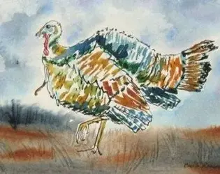 turkey.webp
