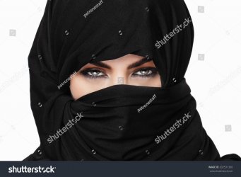 stock-photo-beautiful-girl-wearing-burqa-closeup-202531330.jpg