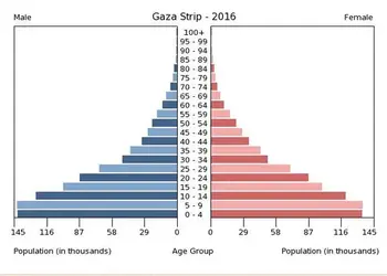 Poopulation Pyramid • Gaza Strip.webp