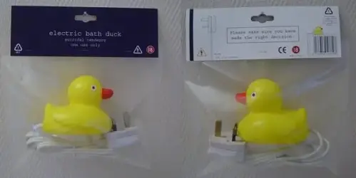 $duck.webp
