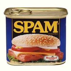 $1559606_340_1116081430036-spam1.webp