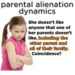Parental Alienation Dynamics.webp