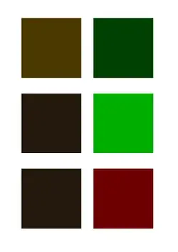 colorz.webp