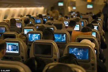 airline1.webp
