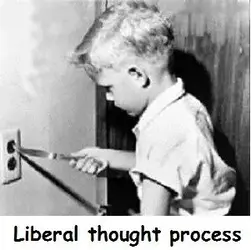 Lib Thought Process.webp