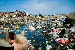 haiti.webp