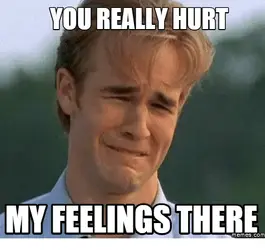 you-really-hurt-myfeelings.webp