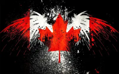 canadian-eagle.webp