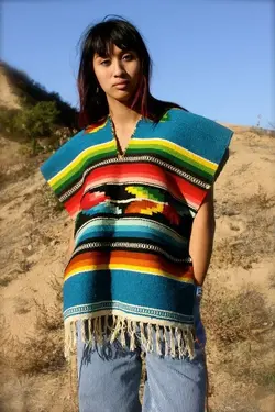 db6bdfc2df17b86213e575b02b57733a--mexican-blankets-read-more.webp