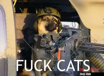 $funny-dog-army-machine-gun.webp