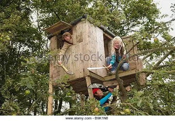 children-playing-in-treehouse-b9k1n8.webp