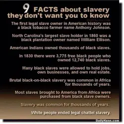 SlaveryFacts.webp